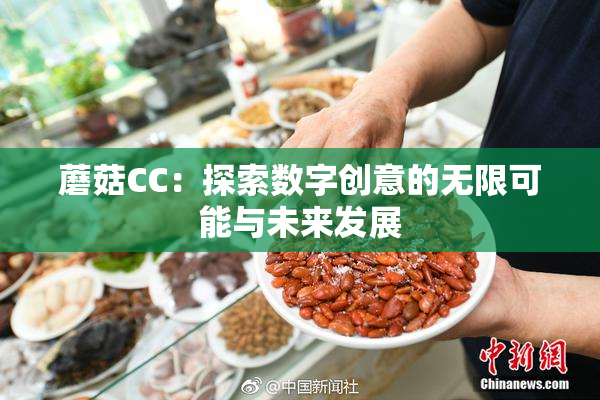 蘑菇CC：探索数字创意的无限可能与未来发展