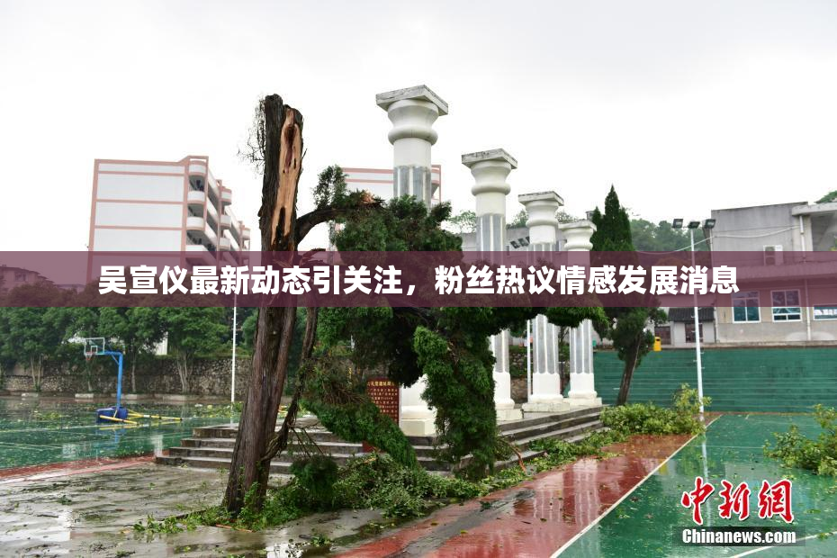 吴宣仪最新动态引关注，粉丝热议情感发展消息