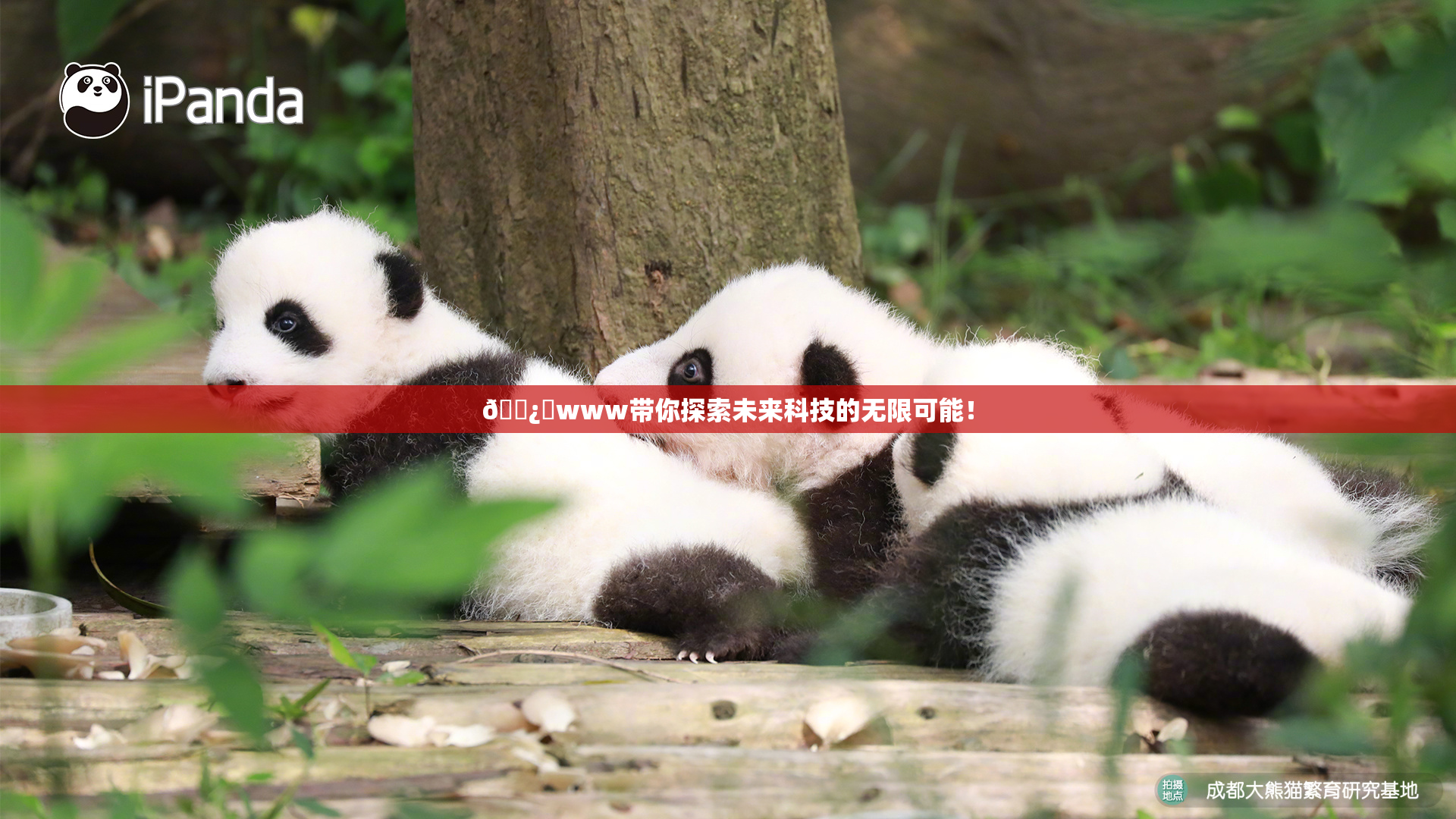 🌿‌www带你探索未来科技的无限可能！