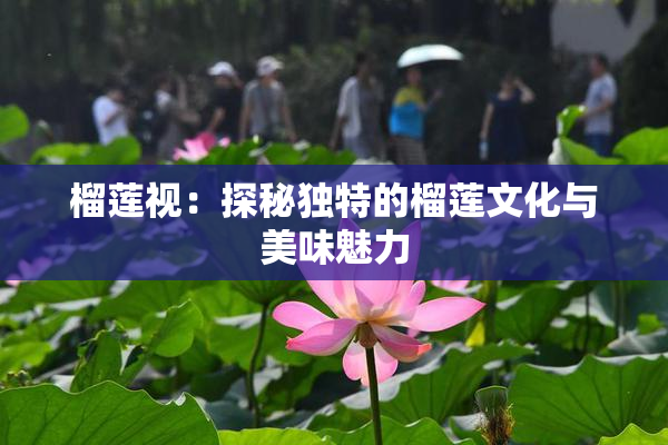 榴莲视：探秘独特的榴莲文化与美味魅力