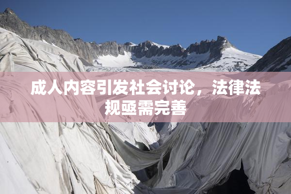 成人内容引发社会讨论，法律法规亟需完善