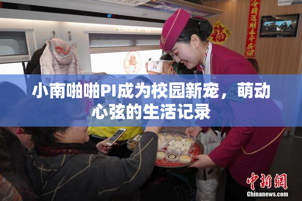 小南啪啪PI成为校园新宠，萌动心弦的生活记录