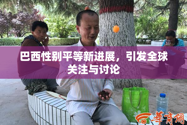 巴西性别平等新进展，引发全球关注与讨论