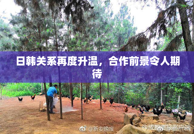 日韩关系再度升温，合作前景令人期待