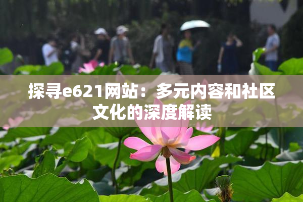探寻e621网站：多元内容和社区文化的深度解读