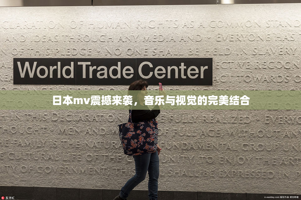日本mv震撼来袭，音乐与视觉的完美结合