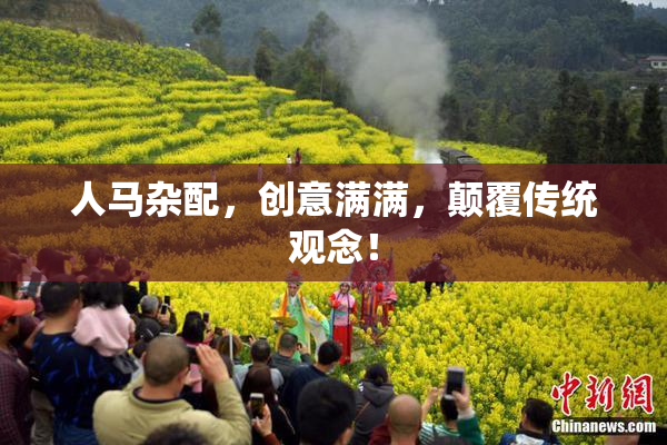 人马杂配，创意满满，颠覆传统观念！
