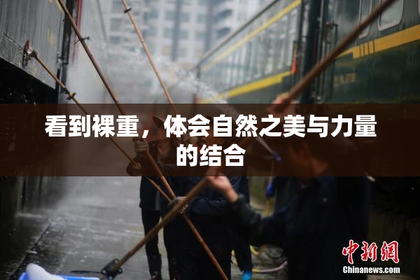 看到裸重，体会自然之美与力量的结合
