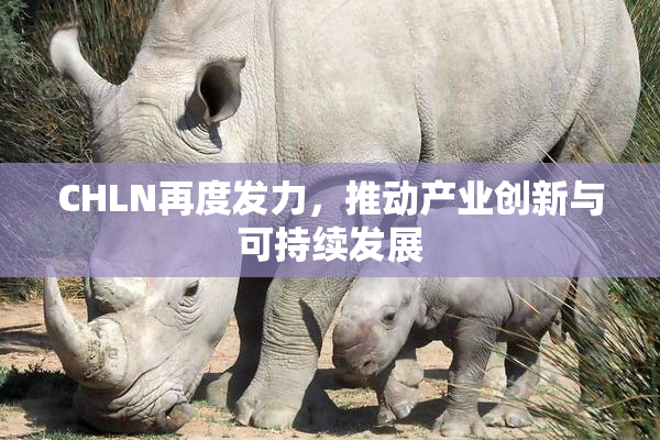 CHLN再度发力，推动产业创新与可持续发展