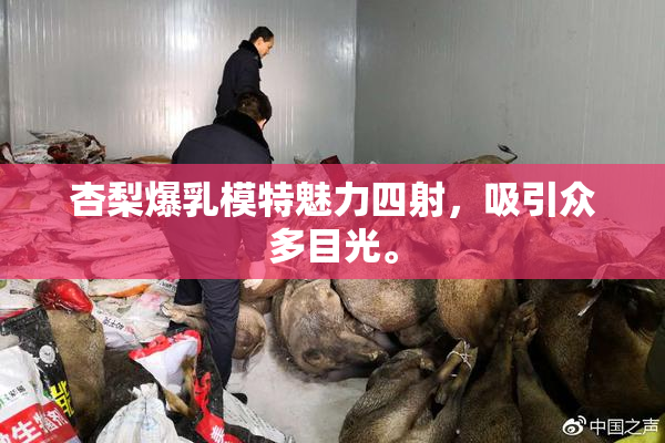 杏梨爆乳模特魅力四射，吸引众多目光。