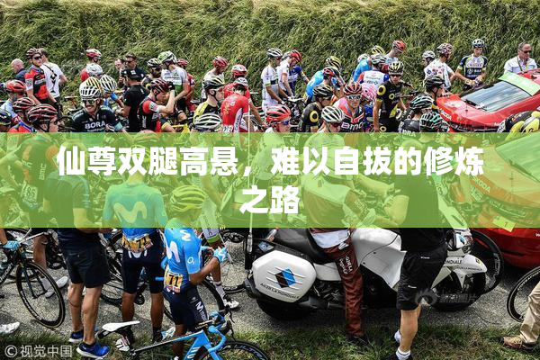 仙尊双腿高悬，难以自拔的修炼之路