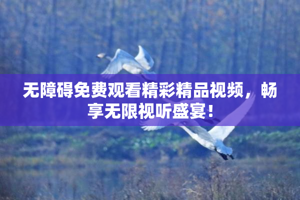 无障碍免费观看精彩精品视频，畅享无限视听盛宴！