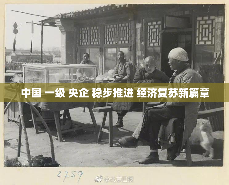 中国 一级 央企 稳步推进 经济复苏新篇章