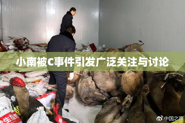 小南被C事件引发广泛关注与讨论