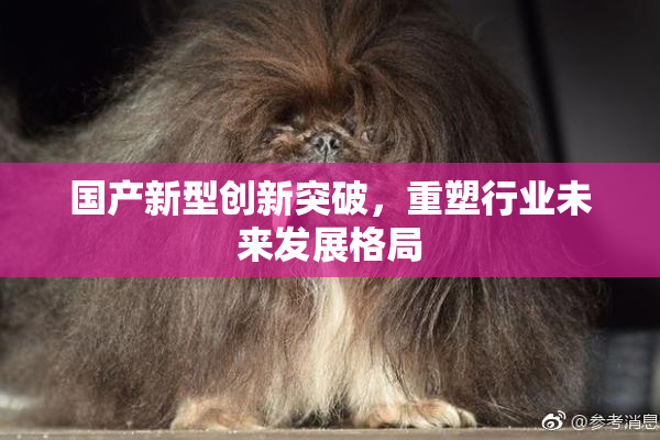 国产新型创新突破，重塑行业未来发展格局