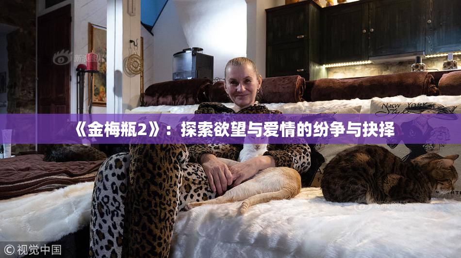 《金梅瓶2》：探索欲望与爱情的纷争与抉择