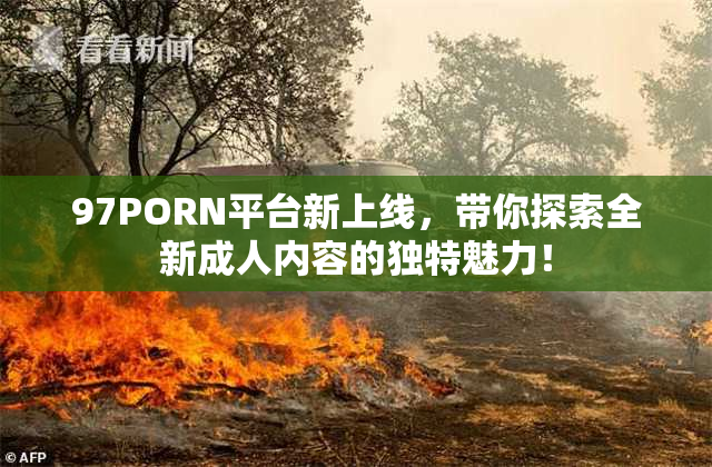97PORN平台新上线，带你探索全新成人内容的独特魅力！