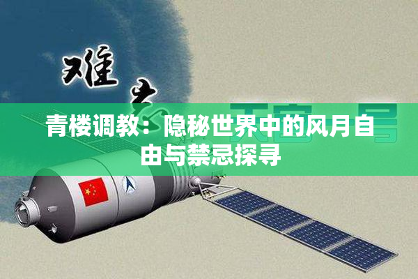 青楼调教：隐秘世界中的风月自由与禁忌探寻