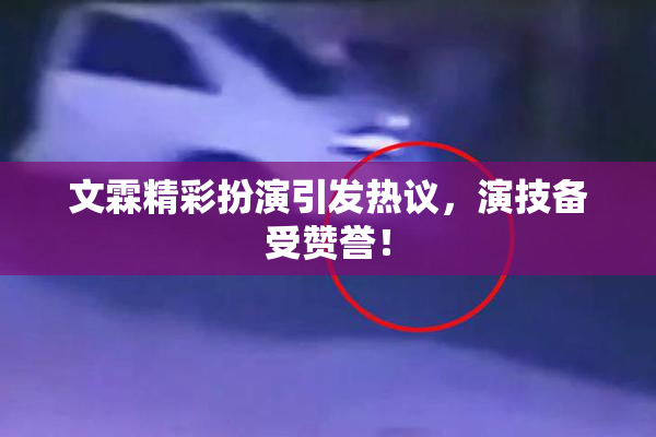 文霖精彩扮演引发热议，演技备受赞誉！