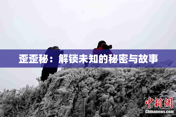 歪歪秘：解锁未知的秘密与故事