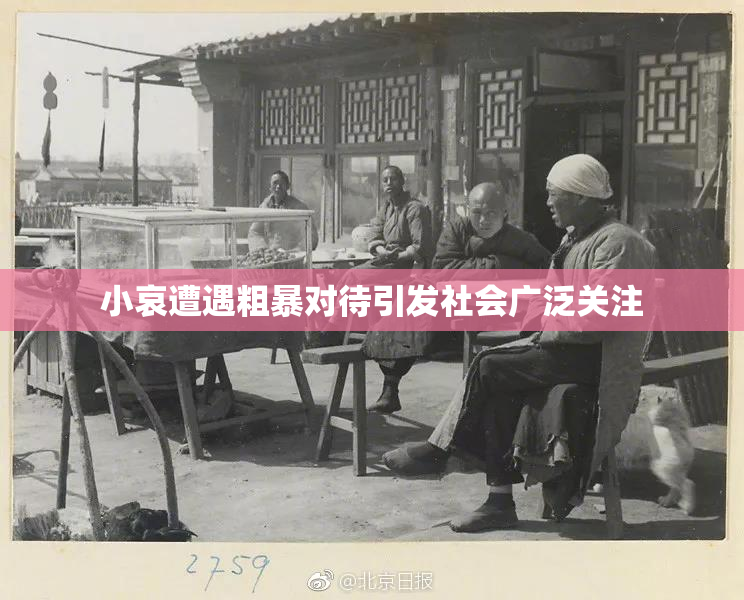 小哀遭遇粗暴对待引发社会广泛关注