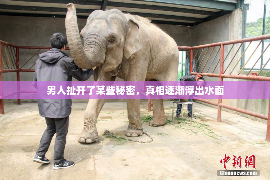 男人扯开了某些秘密，真相逐渐浮出水面