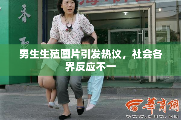 男生生殖图片引发热议，社会各界反应不一