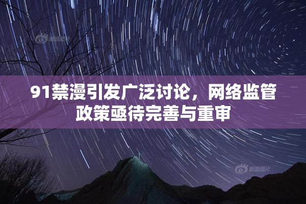 91禁漫引发广泛讨论，网络监管政策亟待完善与重审