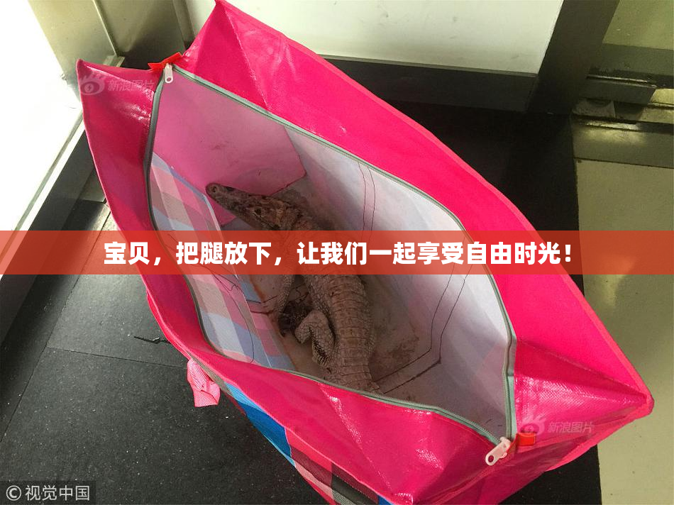 宝贝，把腿放下，让我们一起享受自由时光！