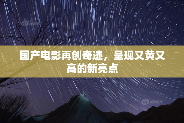 国产电影再创奇迹，呈现又黄又高的新亮点