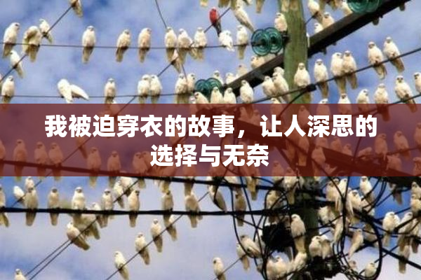 我被迫穿衣的故事，让人深思的选择与无奈