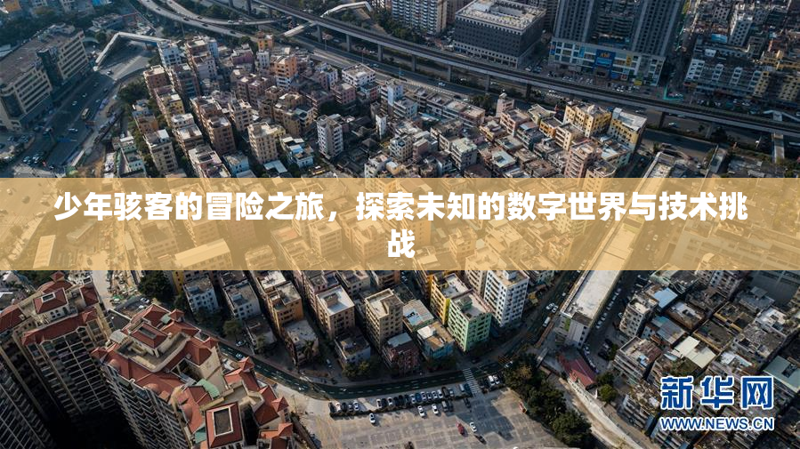 少年骇客的冒险之旅，探索未知的数字世界与技术挑战