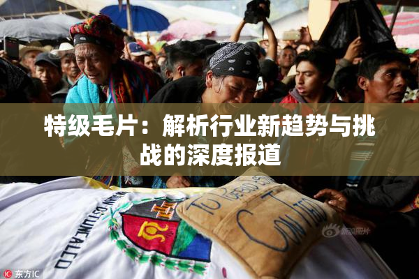 特级毛片：解析行业新趋势与挑战的深度报道