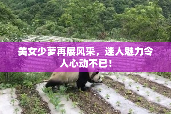 美女少萝再展风采，迷人魅力令人心动不已！