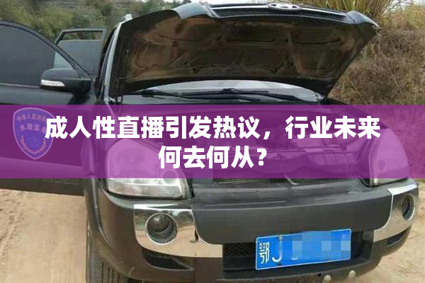 成人性直播引发热议，行业未来何去何从？