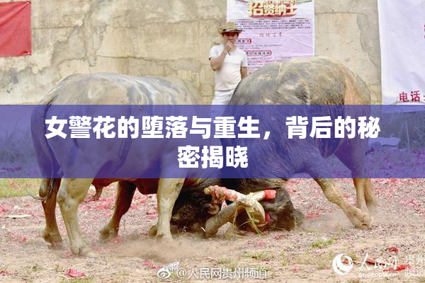 女警花的堕落与重生，背后的秘密揭晓