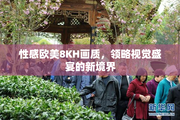 性感欧美8KH画质，领略视觉盛宴的新境界