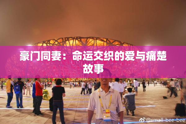 豪门同妻：命运交织的爱与痛楚故事