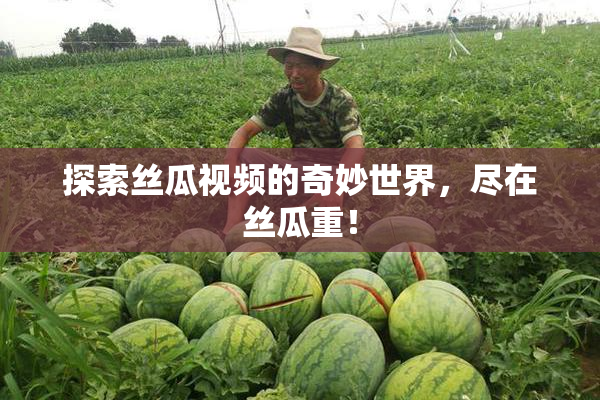 探索丝瓜视频的奇妙世界，尽在丝瓜重！