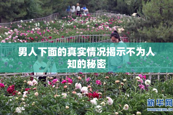男人下面的真实情况揭示不为人知的秘密