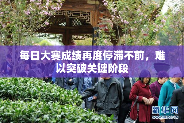 每日大赛成绩再度停滞不前，难以突破关键阶段