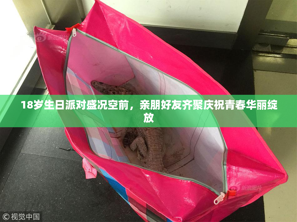 18岁生日派对盛况空前，亲朋好友齐聚庆祝青春华丽绽放