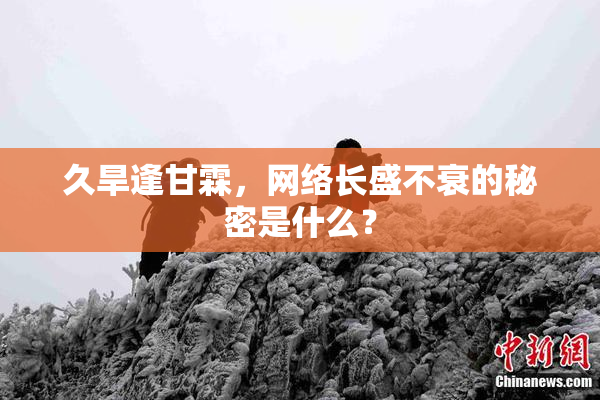 久旱逢甘霖，网络长盛不衰的秘密是什么？
