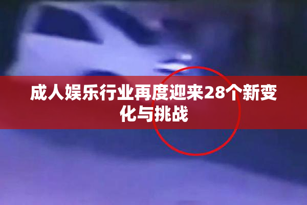 成人娱乐行业再度迎来28个新变化与挑战