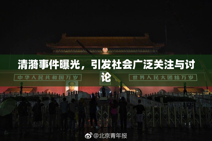 清漪事件曝光，引发社会广泛关注与讨论