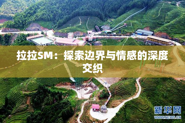 拉拉SM：探索边界与情感的深度交织
