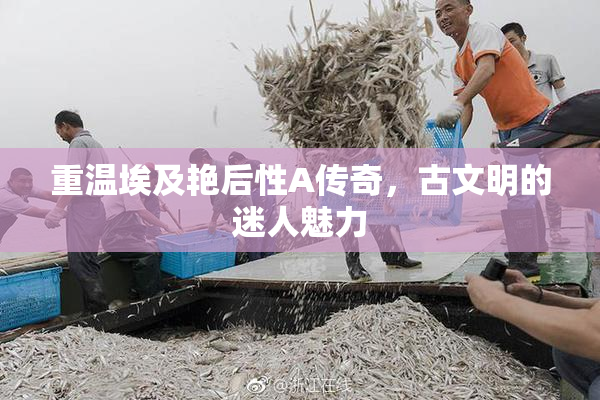 重温埃及艳后性A传奇，古文明的迷人魅力