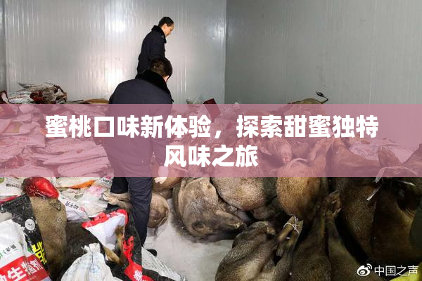蜜桃口味新体验，探索甜蜜独特风味之旅
