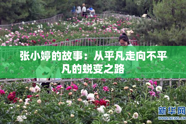 张小婷的故事：从平凡走向不平凡的蜕变之路