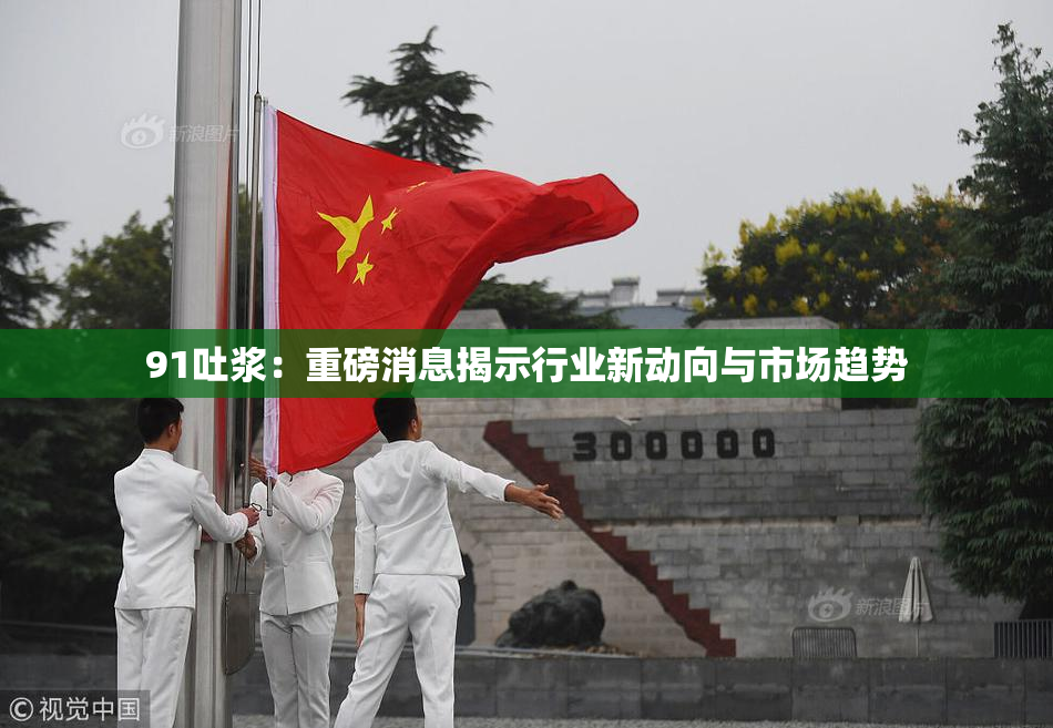 91吐浆：重磅消息揭示行业新动向与市场趋势